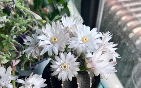 沉下心来，慢慢变好-沉下心来,慢慢变好