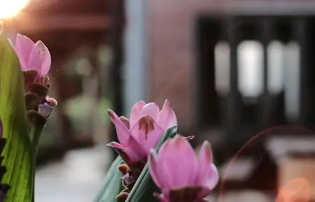 沉下心来，慢慢变好-沉下心来,慢慢变好