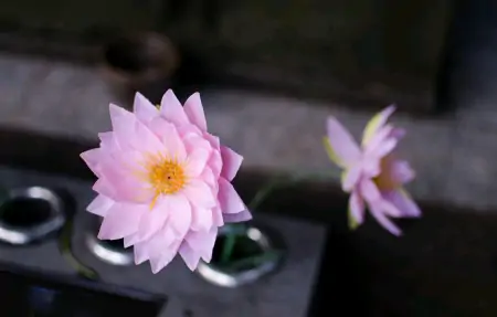 沉下心来，慢慢变好-沉下心来,慢慢变好