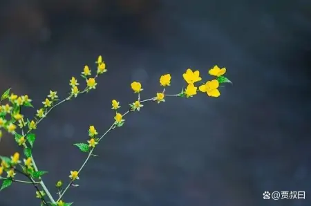 “烧的香多，惹的鬼多”，一句老古话，却道出人的本性！-烧的香多,惹的鬼多什么意思