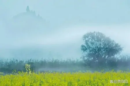 “烧的香多，惹的鬼多”，一句老古话，却道出人的本性！-烧的香多,惹的鬼多什么意思