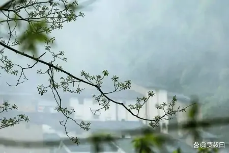 “烧的香多，惹的鬼多”，一句老古话，却道出人的本性！-烧的香多,惹的鬼多什么意思