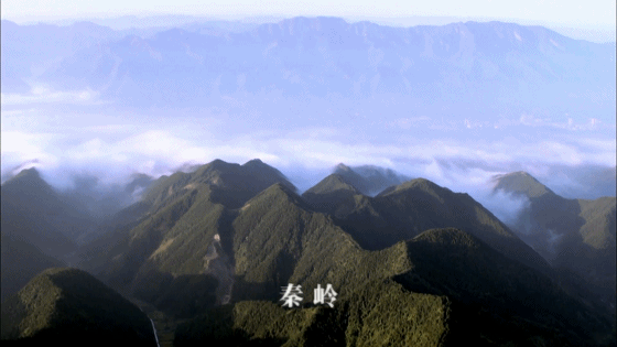 八百里秦川风情万种 陕西如此多娇-八百里秦川的顺口溜是谁说的