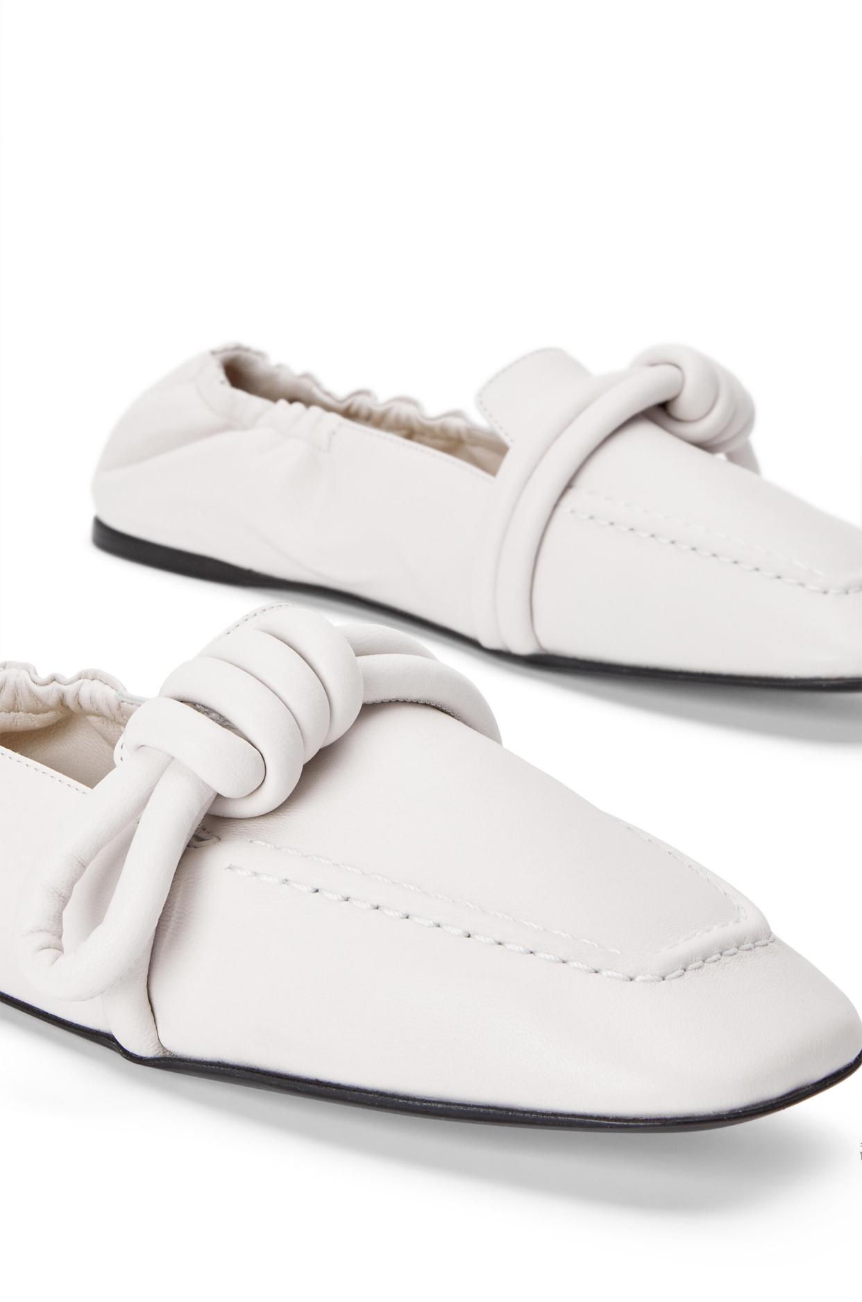 Goyard宠物包时髦也实用，Too Faced新唇膏雕花可爱满分丨是日美好事物-奢侈品牌宠物包