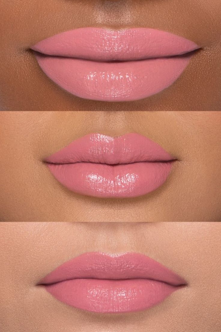 Goyard宠物包时髦也实用，Too Faced新唇膏雕花可爱满分丨是日美好事物-奢侈品牌宠物包