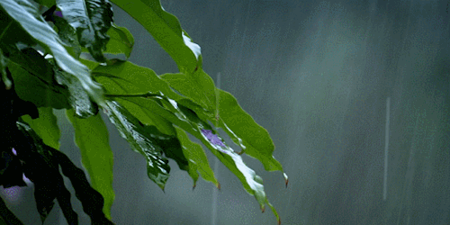 三尺青锋笑日月，一梦醒来便一生，意境超然的古风句子和原创小诗-三尺青锋诗句