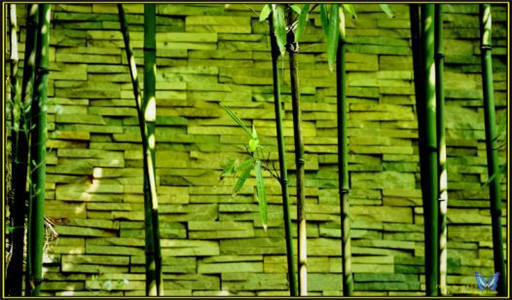 是庄周梦蝶，抑或是蝶梦庄周-庄周梦蝶还是蝶梦庄周什么意思