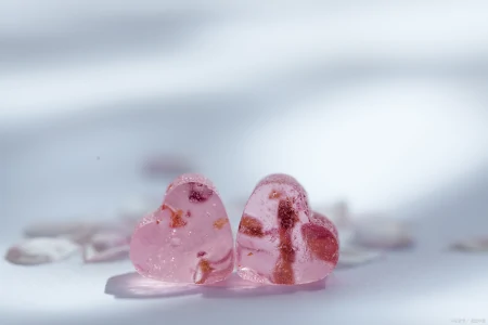 感恩有你，世界因你而美好！-感恩有你世界更美丽歌词