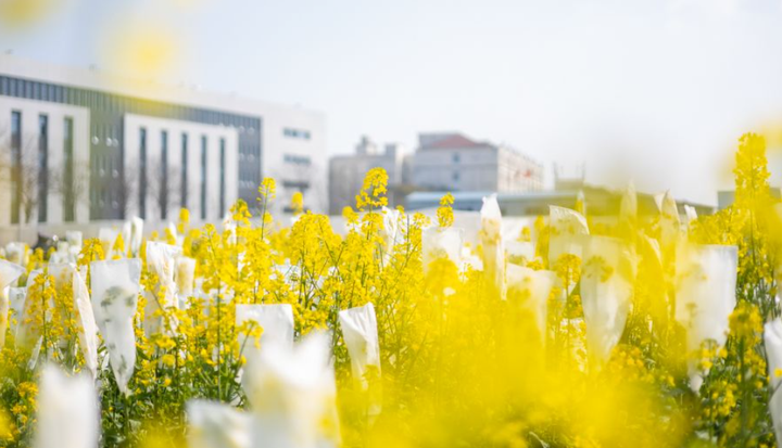 考研院校分析| 华中农业大学-华中农业大学研究生院是985吗知乎