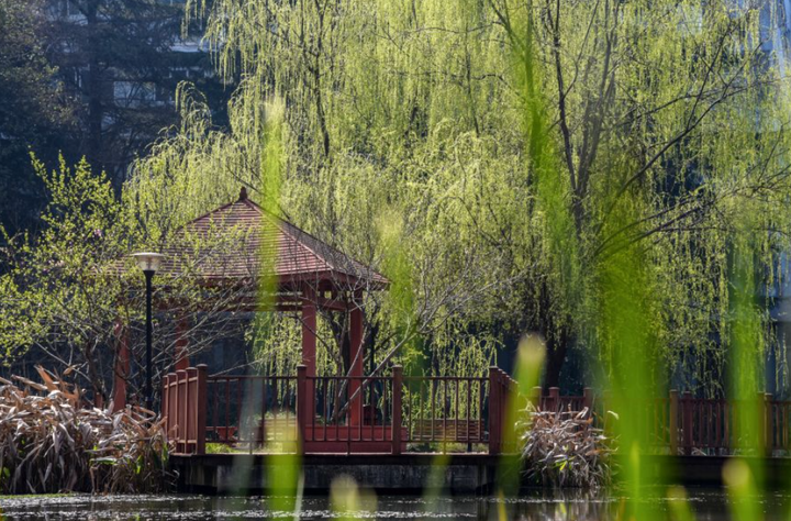 考研院校分析| 华中农业大学-华中农业大学研究生院是985吗知乎