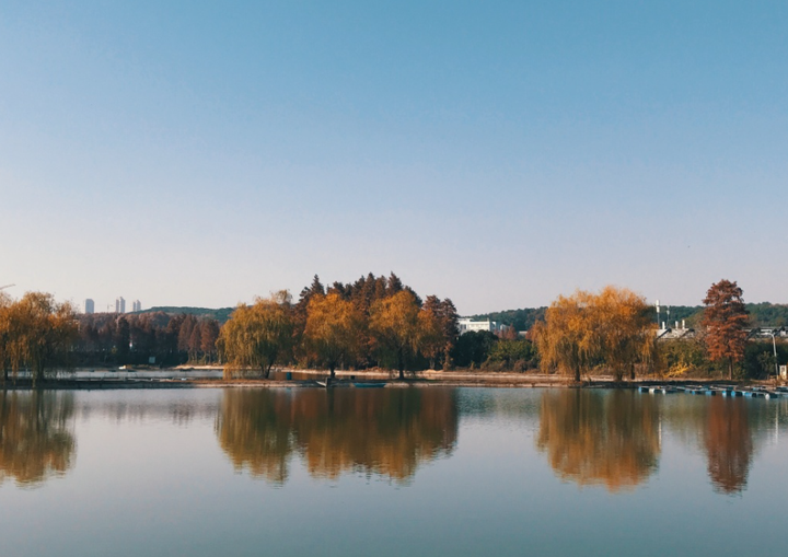 考研院校分析| 华中农业大学-华中农业大学研究生院是985吗知乎