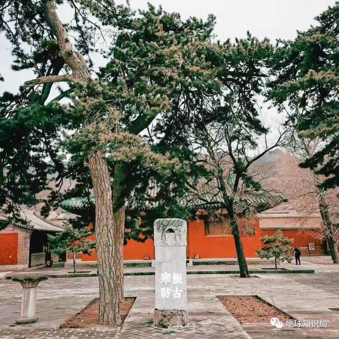 新疆，越来越正规了 | 地球知识局-对新疆变化的感恩心得体会