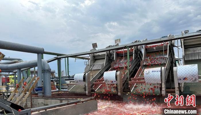 新疆昌吉市产业发展“蹚出新路子”为乡村振兴增添“新活力”-新疆昌吉发展潜力怎么样