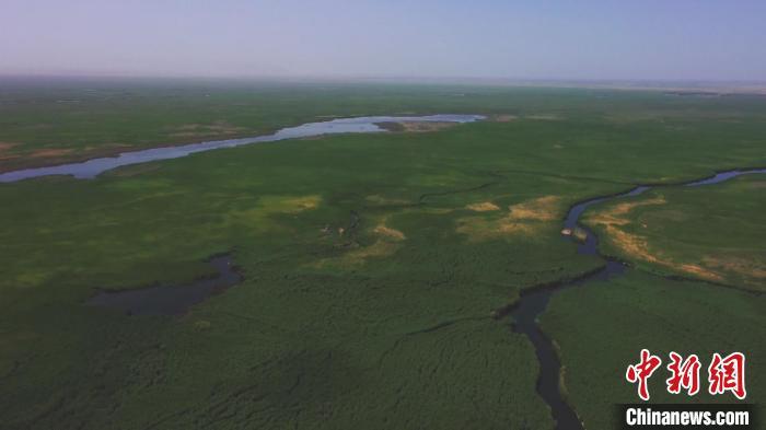 新疆博斯腾湖开展鸟类迁徙路线卫星跟踪监测工作（图）-新疆博斯腾湖面积多大平方千米