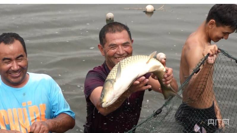 乡村振兴看新疆|“渔”利满满-新疆乡村振兴战略考核