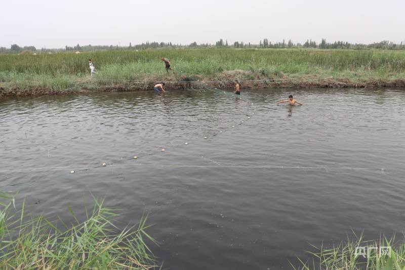 乡村振兴看新疆|“渔”利满满-新疆乡村振兴战略考核