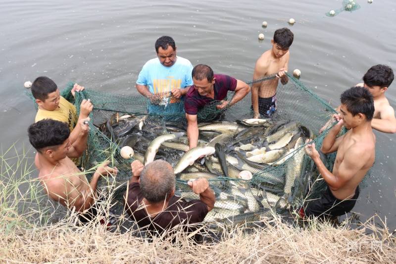 乡村振兴看新疆|“渔”利满满-新疆乡村振兴战略考核