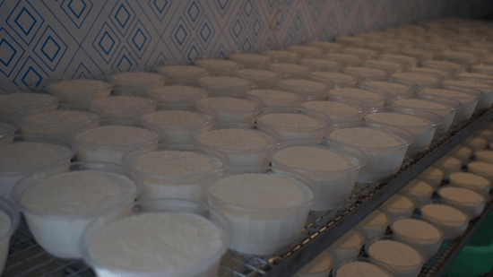 新疆库车：小产业托起群众致富梦-库车支柱产业