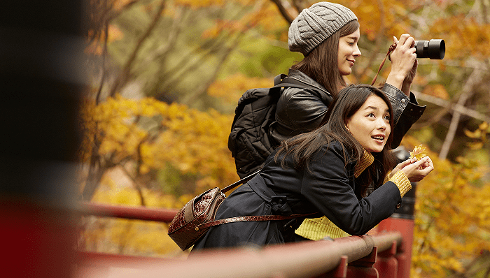 年轻人又爱上了跟团游-年轻人跟团游好还是自由行