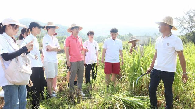 广东工业大学“百千万工程”突击队走进阳江闸坡“试验田”，探索乡村振兴“新路子”-广东工业大学学校地址