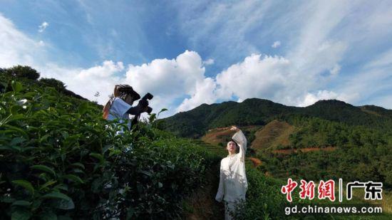 广东工业大学师生“艺术+”赋能河源东源县茶产业发展-广东工业大学高源