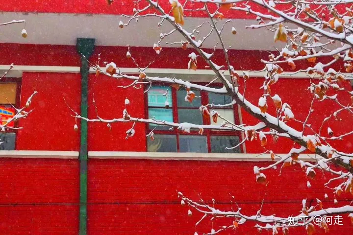 在山西大学上学是一种怎么样的体验?-山西大学的评价