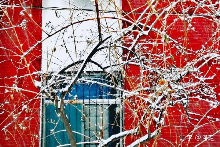 在山西大学上学是一种怎么样的体验?-山西大学的评价