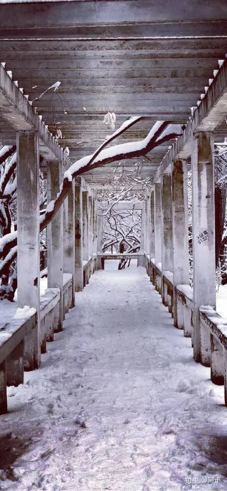 在山西大学上学是一种怎么样的体验?-山西大学的评价