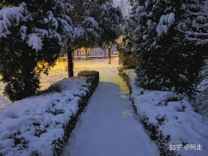 在山西大学上学是一种怎么样的体验?-山西大学的评价