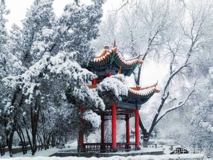 在山西大学上学是一种怎么样的体验?-山西大学的评价