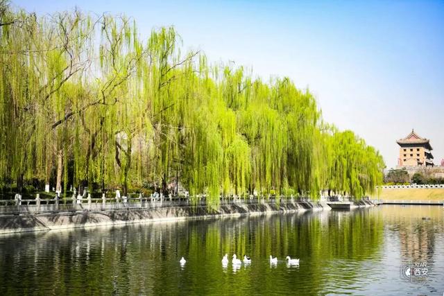 西安春季旅游攻略！这10条精品线路快收藏-西安春季旅游最佳去处