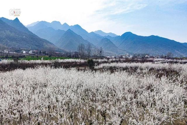 西安春季旅游攻略！这10条精品线路快收藏-西安春季旅游最佳去处