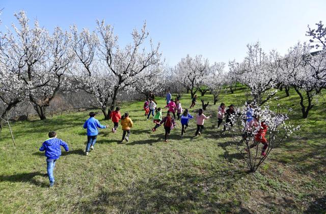 西安春季旅游攻略！这10条精品线路快收藏-西安春季旅游最佳去处