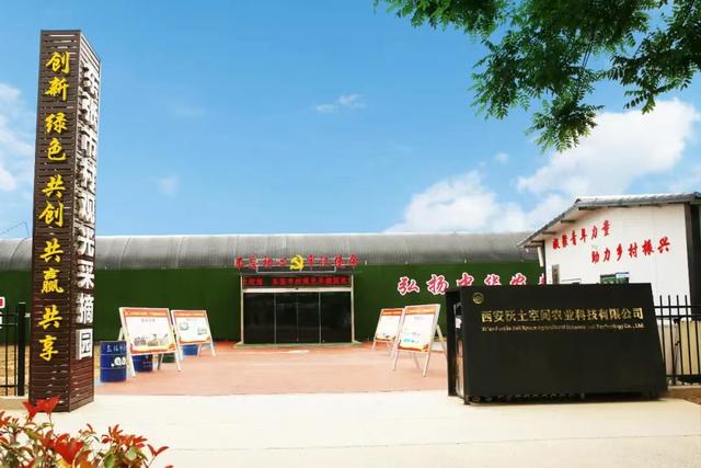 西安春季旅游攻略！这10条精品线路快收藏-西安春季旅游最佳去处