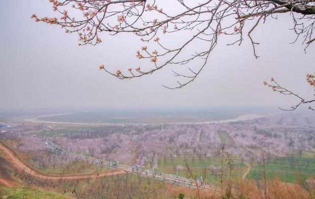 西安春季旅游攻略！这10条精品线路快收藏-西安春季旅游最佳去处