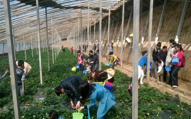 西安春季旅游攻略！这10条精品线路快收藏-西安春季旅游最佳去处