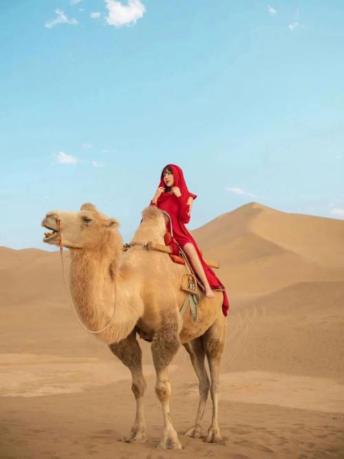 西北大环线8天7晚旅游攻略，西北旅行最佳路线，看这篇全明白-西北大环线5日游价格