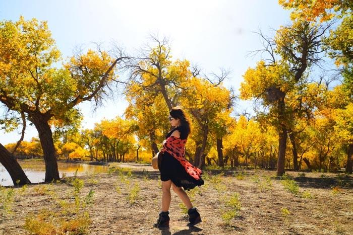 西北大环线8天预算，西北大环线8天7晚行程【攻略汇总】-西北大环线从哪里出发