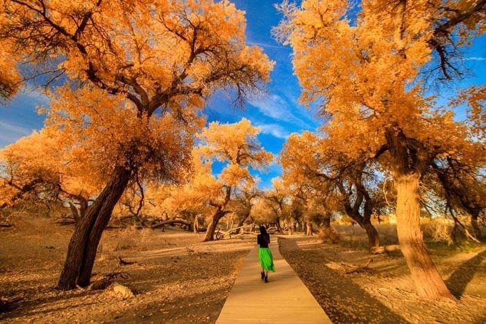 西北大环线8天预算，西北大环线8天7晚行程【攻略汇总】-西北大环线从哪里出发