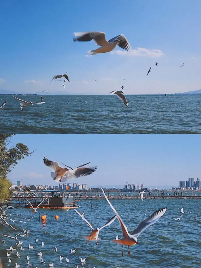 丽江大理五日游自助游攻略,大理旅游团报价五日游-丽江大理5日游攻略