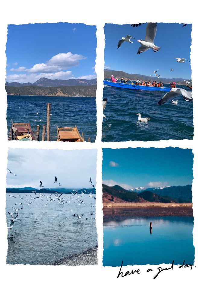 大理旅游攻略-五天四晚玩转云南大理，网红酒店带你打卡-大理网红民宿 全木