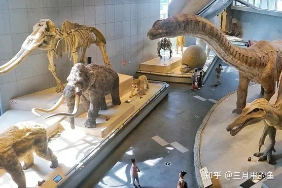 上海有哪些必玩的景点 ？-上海十大必玩景点