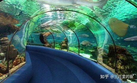 上海有哪些必玩的景点 ？-上海十大必玩景点