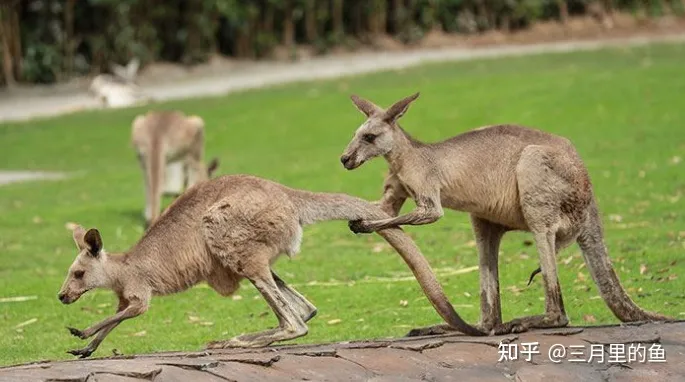 上海有哪些必玩的景点 ？-上海十大必玩景点