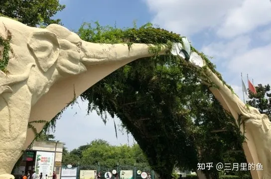 上海有哪些必玩的景点 ？-上海十大必玩景点