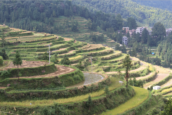去贵州玩，有什么好的旅游攻略？-去贵州旅游怎么玩?看别人在贵州5天4晚亲自体验(图文)