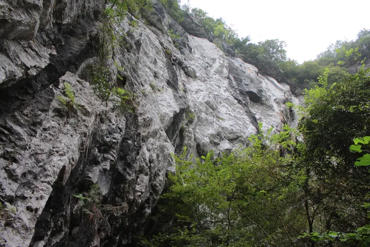 去贵州玩，有什么好的旅游攻略？-去贵州旅游怎么玩?看别人在贵州5天4晚亲自体验(图文)