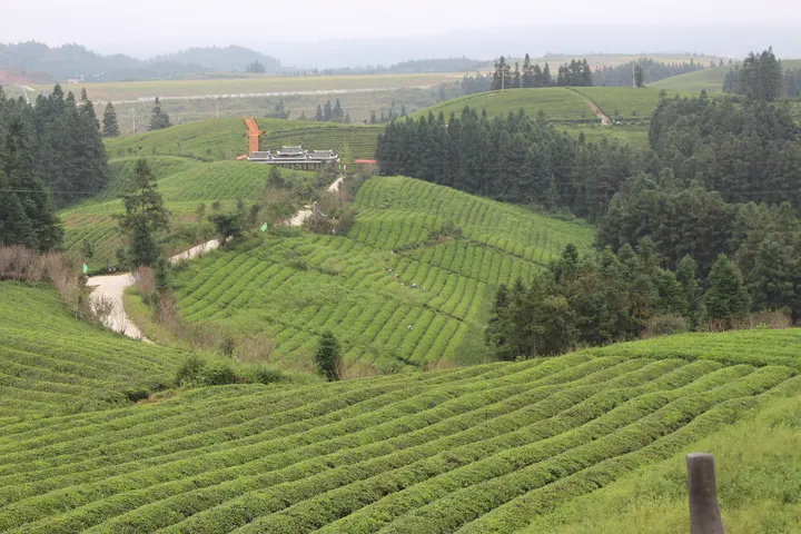 去贵州玩，有什么好的旅游攻略？-去贵州旅游怎么玩?看别人在贵州5天4晚亲自体验(图文)