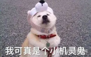 贵州最全旅游攻略：盘点贵州最美旅游地！-贵州旅游必去景点排名