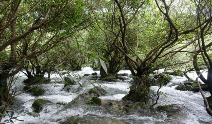 贵州最全旅游攻略：盘点贵州最美旅游地！-贵州旅游必去景点排名